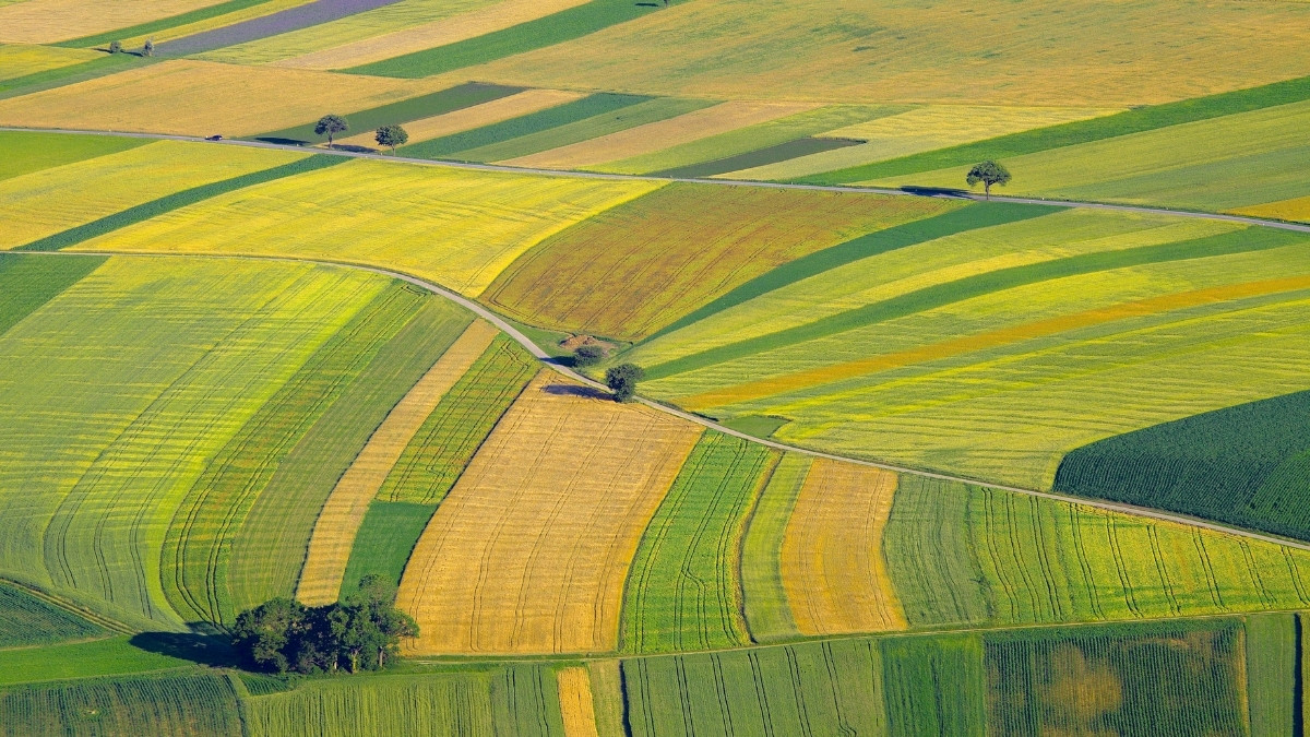 Agriculture et pêche